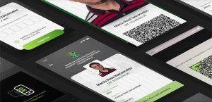 CPF digital vai substituir os documentos de papel