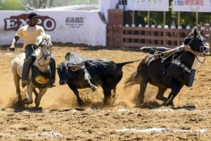Caiado sanciona lei que regulamenta vaquejada como atividade cultural em Goiás