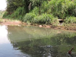 MP aciona Saneago por despejo de esgoto no Rio Meia Ponte, em Goiânia