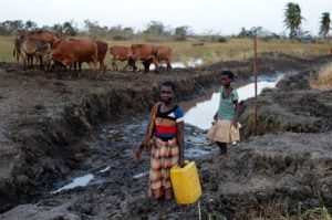 Moçambique registra 518 mortos e 517 casos de cólera devido a ciclone