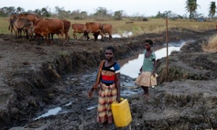 Moçambique registra 518 mortos e 517 casos de cólera devido a ciclone