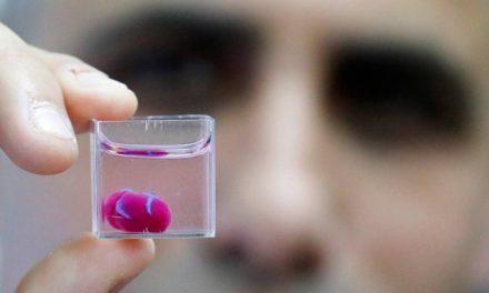 Cientistas de Israel apresentam primeiro coração impresso em 3D a partir de tecidos humanos
