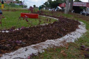 Canteiros de Aparecida sofrem ação de vandalismo; polícia investiga