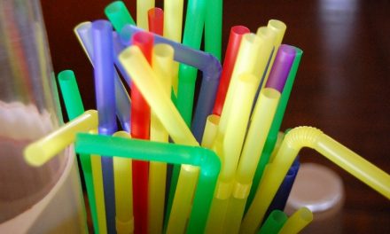 Emenda amplia para 2 anos prazo para fim do uso de canudos de plástico em Goiânia
