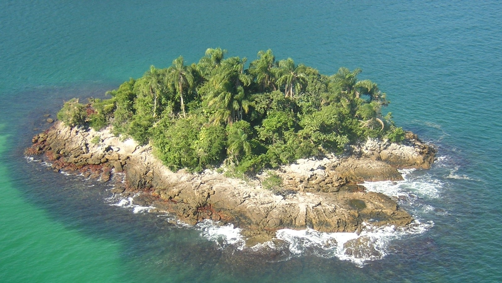 Bolsonaro quer revogar decreto que criou estação ecológica no RJ Bolsonaro quer revogar decreto que criou estação ecológica no RJ