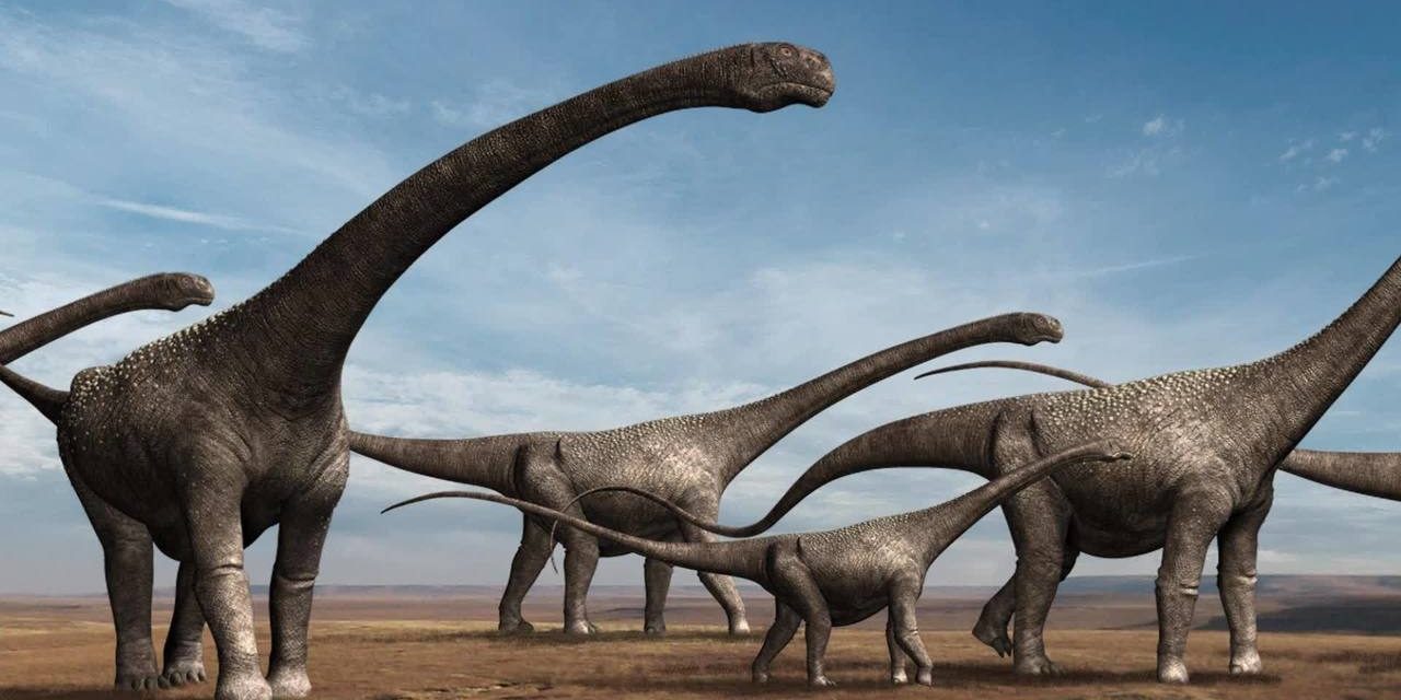 Pesquisadores descobrem fósseis de dinossauros com mais de 80 milhões de anos em Goiás