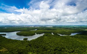 Brasil é o país que mais altera leis de proteção à Amazônia, diz ONG