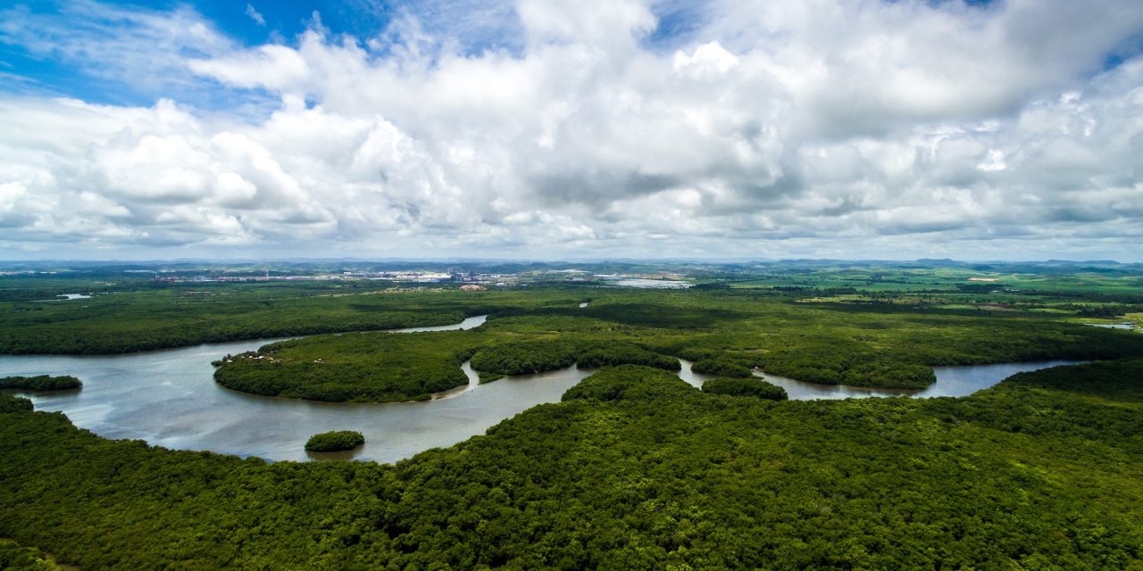 Brasil é o país que mais altera leis de proteção à Amazônia, diz ONG
