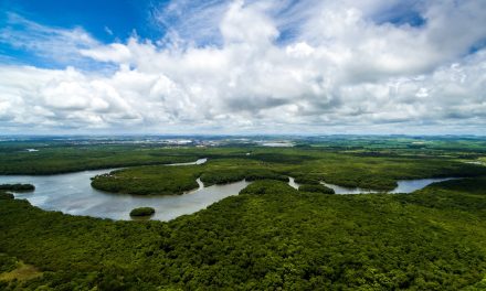 Brasil é o país que mais altera leis de proteção à Amazônia, diz ONG