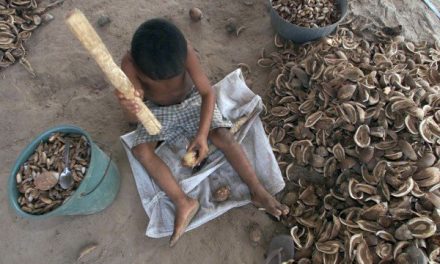MP recebe 4,3 mil denúncias de trabalho infantil por ano