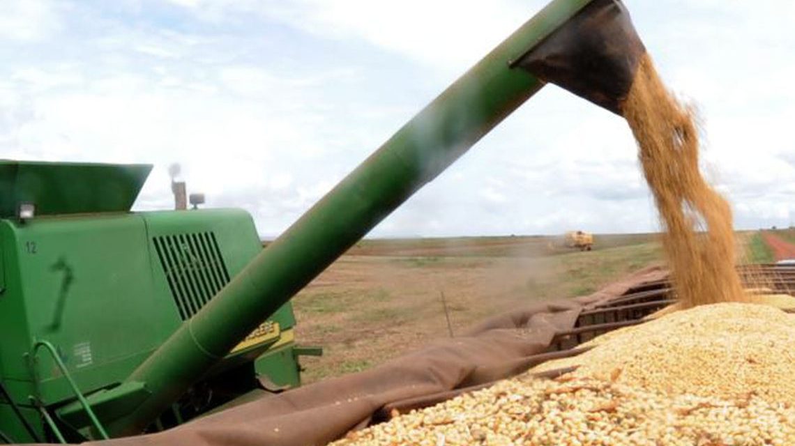 IBGE eleva estimativa da safra de grãos para 2019