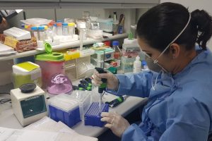 CNPq suspende seleção de bolsistas à espera de liberação de crédito