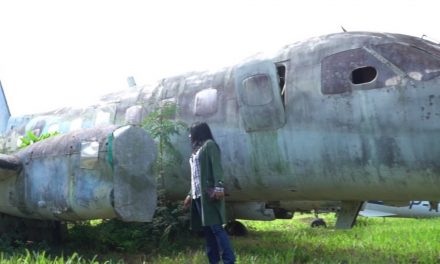 Relatório aponta sucateamento de nove aviões da Funai