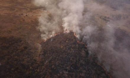 Incêndios florestais aumentam 31,9% entre janeiro e junho de 2019 em Goiás