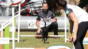 Aulão de adestramento dá dicas de recreação e treinamento para cães, em Goiânia
