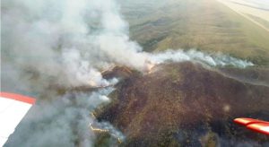Governo registra diminuição de focos de incêndio na Amazônia