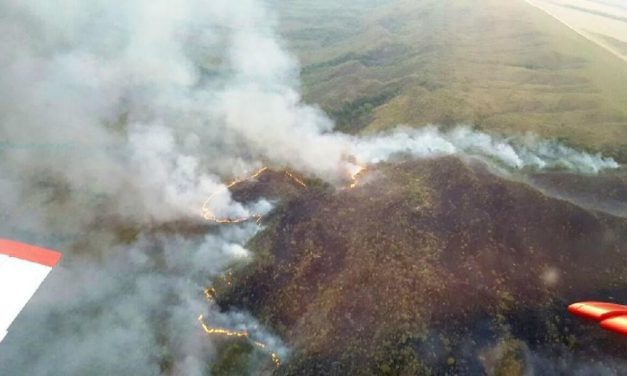 Governo registra diminuição de focos de incêndio na Amazônia