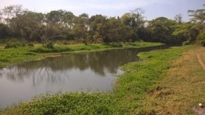 Governo Estadual define novas regras para consumo de água em irrigações e indústrias