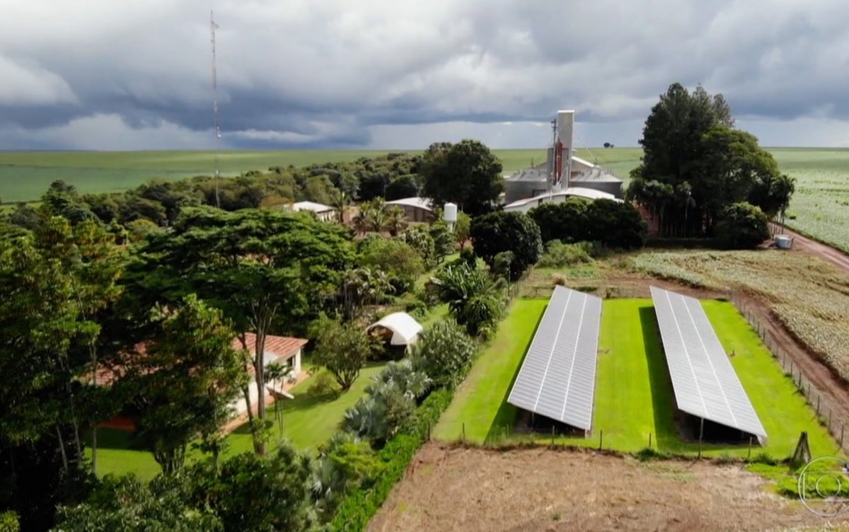 Projetos tecnológicos na área da agricultura são destaques na Campus Party, em Goiânia
