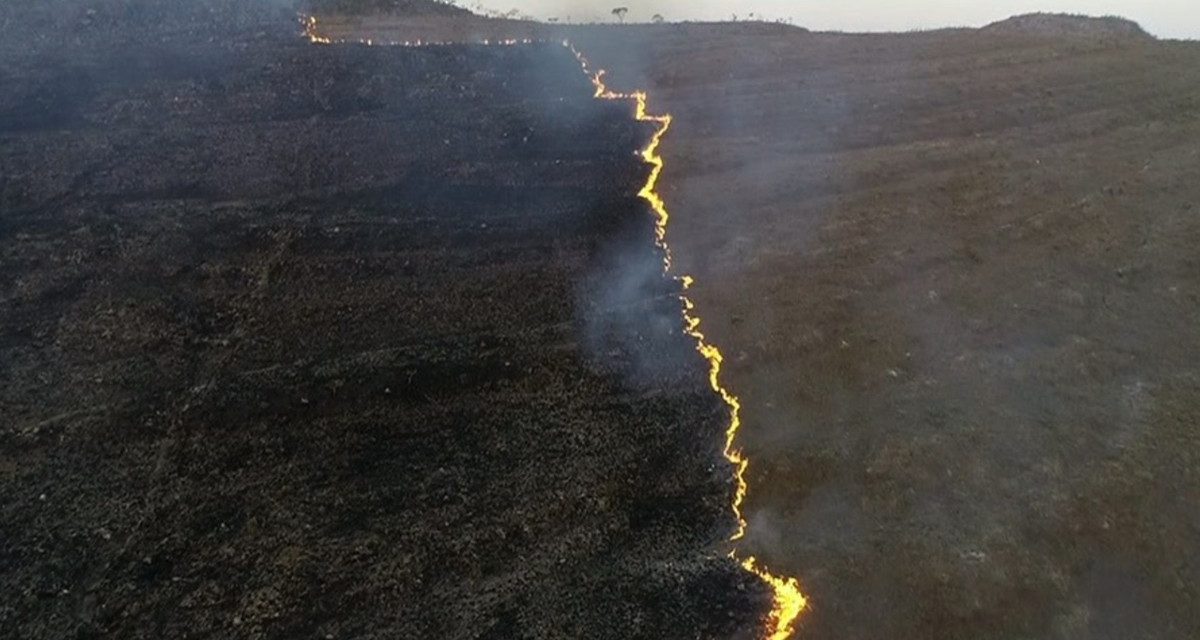 Incêndio destrói 500 hectares do Parque Nacional da Chapada dos Veadeiros