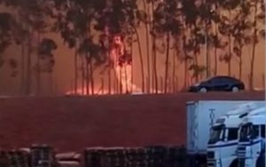 Queimadas em Goiás evacuam usinas de álcool e escola, fecham estradas e matam animais