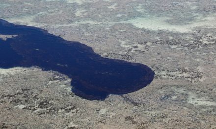 Surgem novas manchas de óleo no litoral sul do Rio Grande Norte