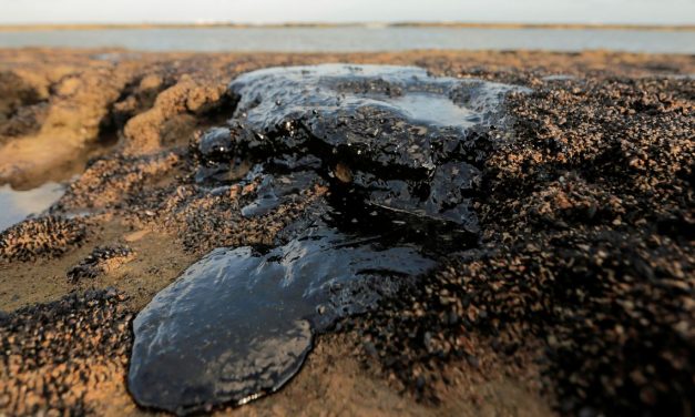 Quatro mil toneladas de óleo já foram retiradas de praias nordestinas