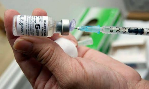 Ministério da Saúde faz alerta sobre febre amarela