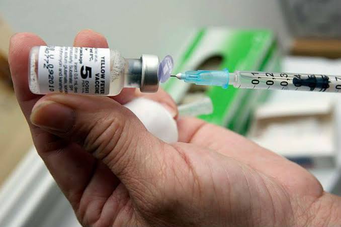 Ministério da Saúde faz alerta sobre febre amarela