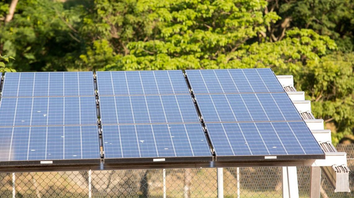 Bolsonaro: decisão sobre taxação de energia solar cabe à Aneel