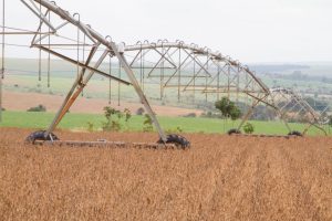 Brasil assina acordo de cooperação agrícola com a Alemanha