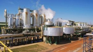 Consumo de etanol em Goiás supera o de gasolina, segundo ANP