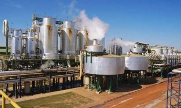 Consumo de etanol em Goiás supera o de gasolina, segundo ANP