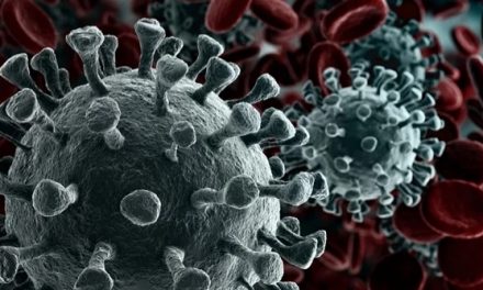 Mundo chega a 1 milhão de casos de coronavírus e mais de 51 mil mortes