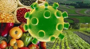 Mesmo com alta demanda, cenário do agro em Goiás se divide durante pandemia