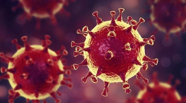 Coronavírus: Cientistas apontam que número de infectados no Brasil é quinze vezes maior