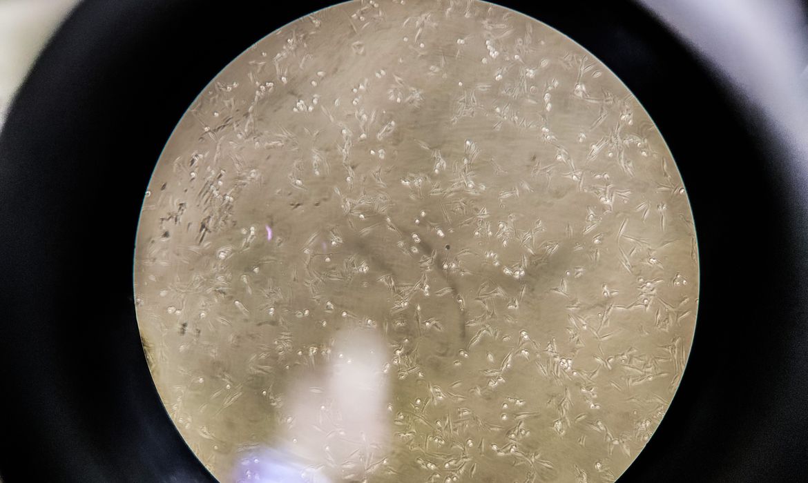 Analistas debatem os efeitos da covid-19 no mundo Analistas debatem os efeitos da covid-19 no mundo