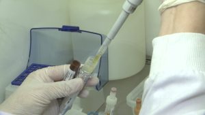 São Paulo ultrapassa 1,1 milhão de testes de Covid-19