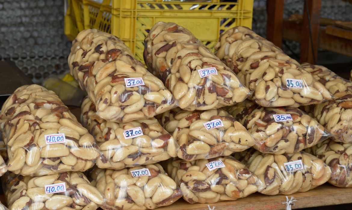 Capes prorroga a duração das bolsas de mestrado e doutorado