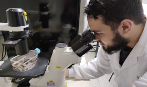 Vinagre de maçã – Benefícios, formas de usar e receita caseira