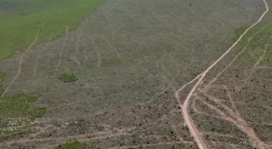 Governo deflagra operação contra desmatamento em território calunga