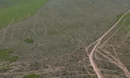 Governo deflagra operação contra desmatamento em território calunga