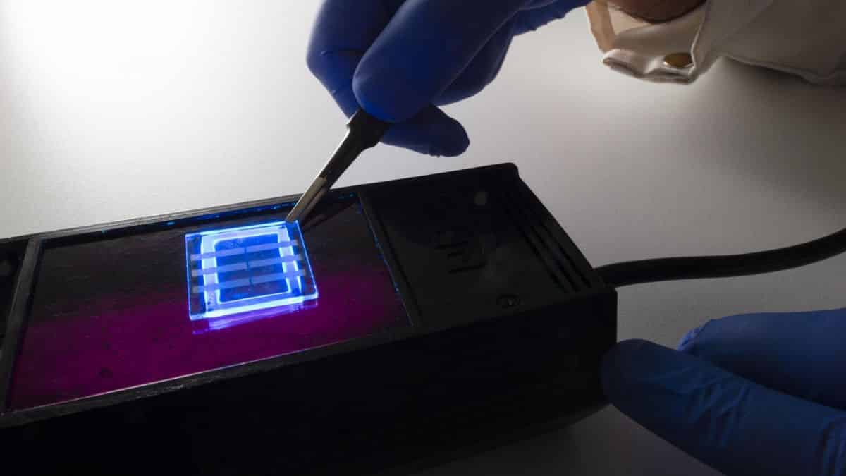 Cientistas usam cabelo humano para criar dispositivos OLED flexíveis