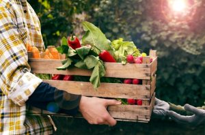 Maioria do STF vota por manter resolução do TSE sobre fake news