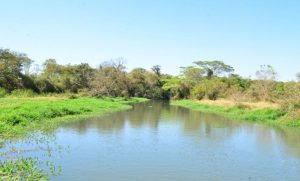 Governo publica decreto com medidas de combate à crise hídrica