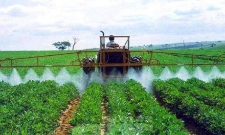 Agrodefesa orienta agricultores para o uso correto dos agrotóxicos