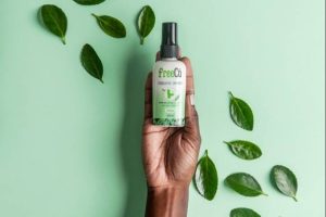 Franquias sem sair de casa crescem na quarentena