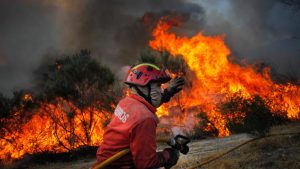 Goiás registra 51 focos de incêndio