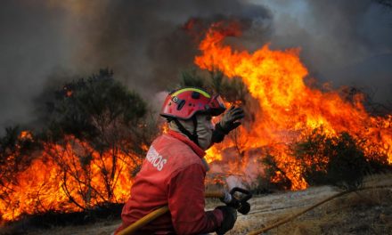 Goiás registra 51 focos de incêndio