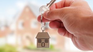 Como ver animais em 3D? Google usa realidade aumentada para criar projeções